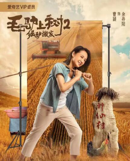 白石麻衣在线