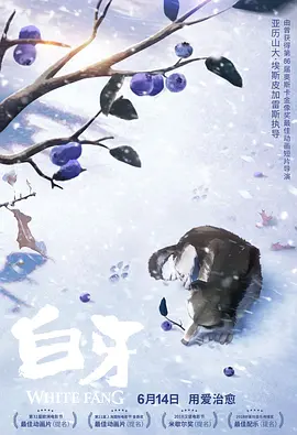 555netflix笔盒在线看