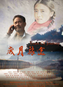 msi中国