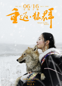 我的表姐2019